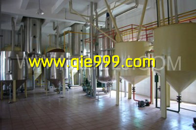 创业有企鹅，自主创新无后顾之忧——企鹅平台赋能下的广告设计及代理新生态